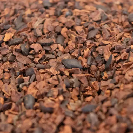 Cocoa Beans